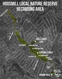 Hogsmill Local Nature Reserve